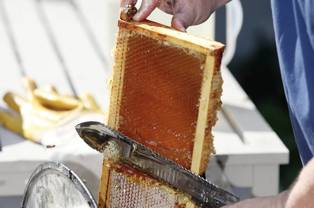 Honey Extractor Extractor Raffle Win Winner Conference Convention TIckets